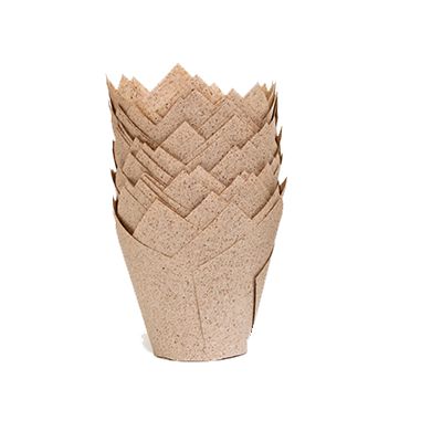 Kepimo formelės "TULPĖ" 160/50